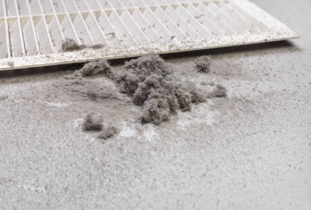 Best Home Air Vent Cleaning  in Springville, UT